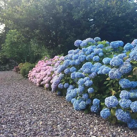 Quiet Countryside Retreat Cork