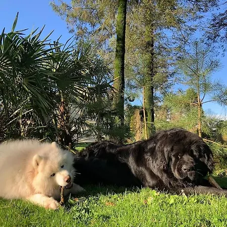 アパート Quiet Countryside Retreat *