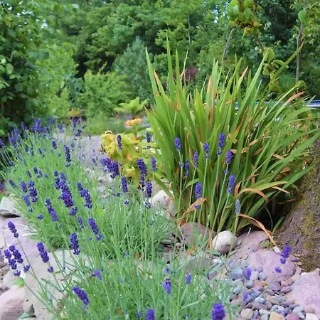 Quiet Countryside Retreat *