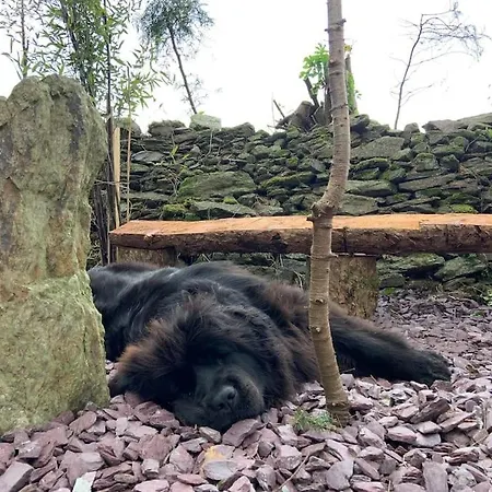 Quiet Countryside Retreat アパート *