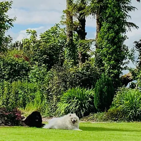 Quiet Countryside Retreat * Cork