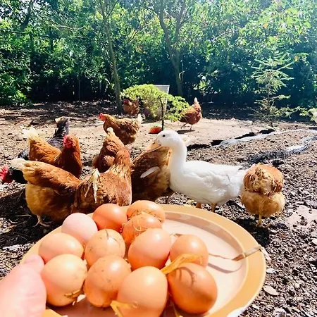 Quiet Countryside Retreat *