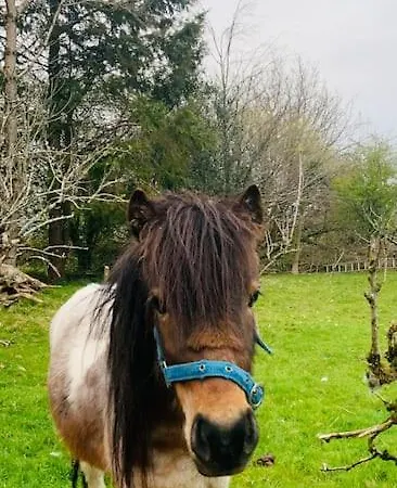 Quiet Countryside Retreat アパート *