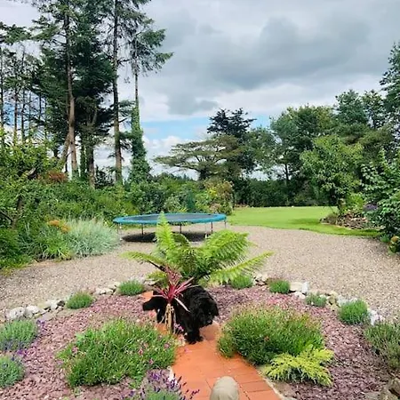 Quiet Countryside Retreat アパート コーク