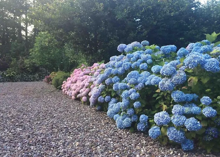 Quiet Countryside Retreat Cork