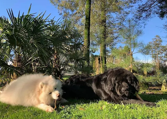 Apartman Quiet Countryside Retreat *