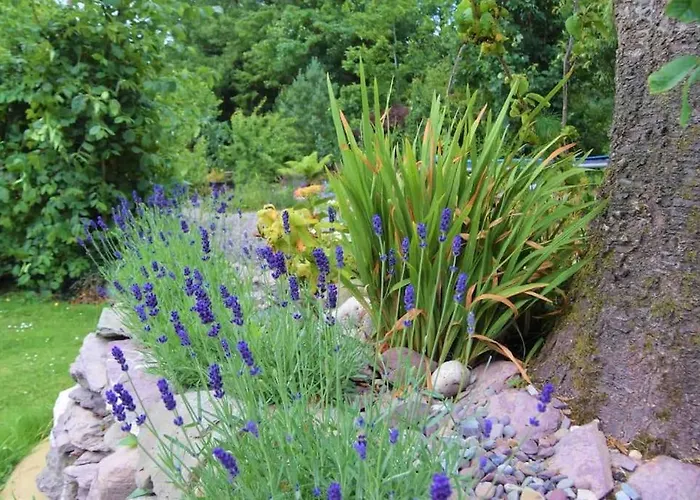 Quiet Countryside Retreat *