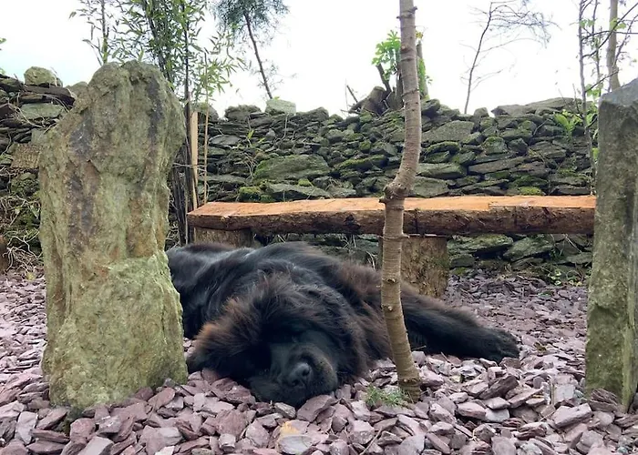 Quiet Countryside Retreat Apartman *