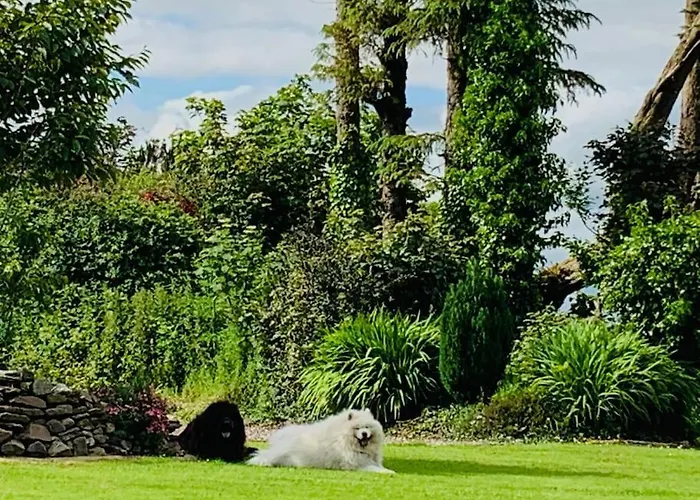 Quiet Countryside Retreat * Cork