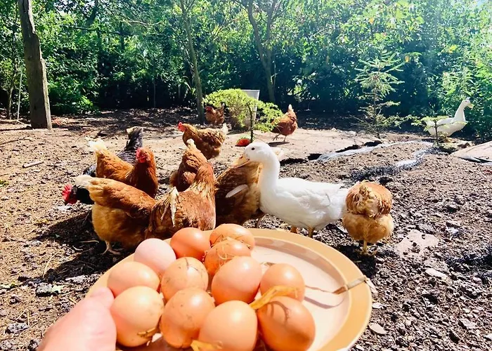 Quiet Countryside Retreat *