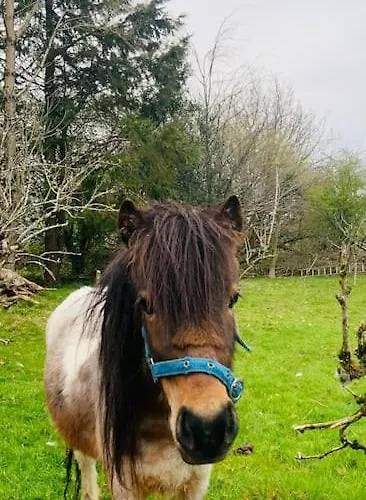 Quiet Countryside Retreat Apartman *